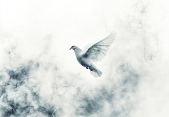 Fototapeta premium Majestic White Bird Soaring Through Dreamy Misty Background