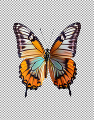 beautiful Butterfly, Detailed Butterfly Wing Patterns - High Quality Image on transparent background, png, psd
