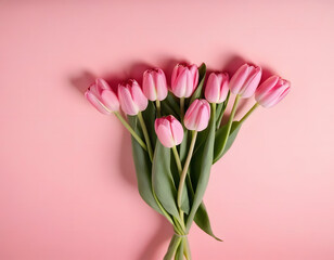 Beautiful Pink Tulips on Pink Background