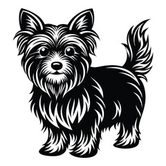 Yorkshire Terrier Dog Silhouette Vector Art.  A clean black silhouette of a Yorkshire Terrier dog Standing isolated on a white background.
