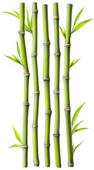 Fototapeta premium Bamboo stalks in a natural field with white background minimalist plants concept photography