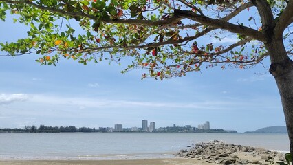 Scenic beach view with city skyline framed by tree branches under blue sky