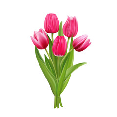 Bouquet of  pink tulips on white background.