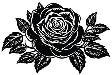 Fototapeta premium Black Rose Illustration vector