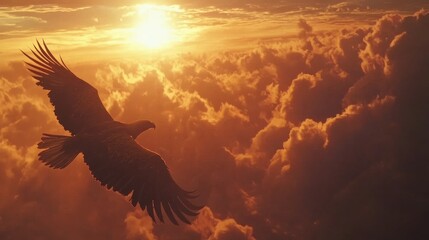 Obraz premium Eagle in Flight with Glowing Sunset and Cloudscape