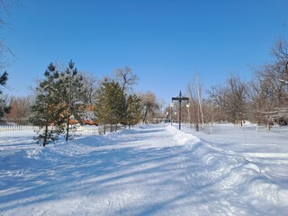 winter landscape with snow covered trees