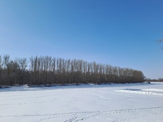 winter landscape with trees
