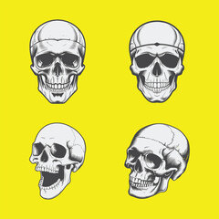 Detailed skull illustration vector art