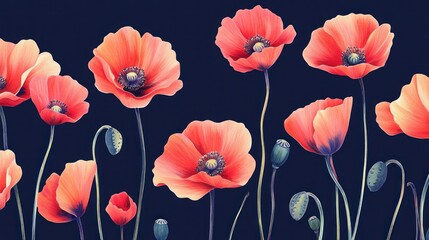 Naklejka premium Vibrant Coral Poppies on Dark Background