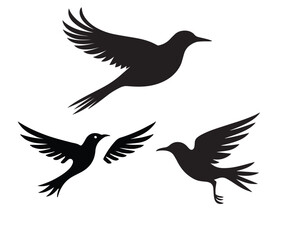 Fototapeta premium Flying Bird Silhouette Minimalist Vector Design