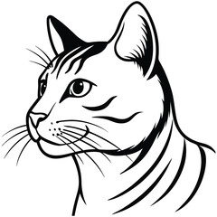 a close up side profile of a cat in a semi realis line art
