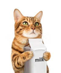 Red cat holding a carton of milk.