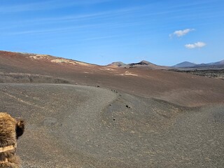Vulkanlandschaft Timanfaya Nationalpark