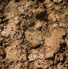 a flat soil texture