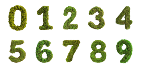 Green Moss Numbers Set on transparent Background