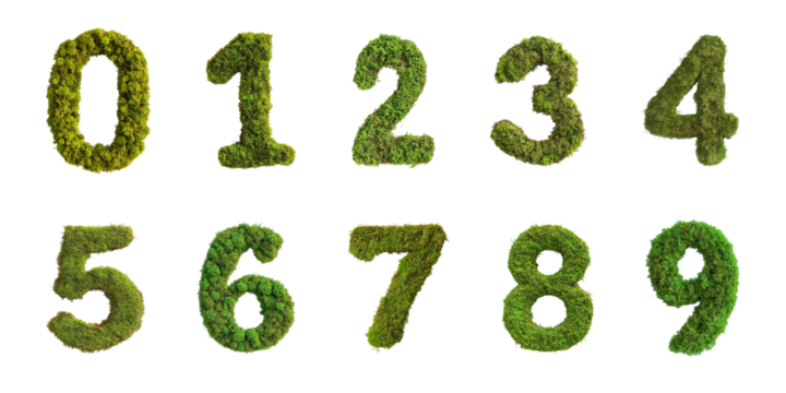 Green Moss Numbers Set on transparent Background