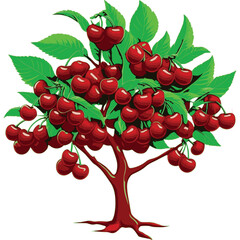 A vibrant cherry tree with lush green leaves and clusters of cherries