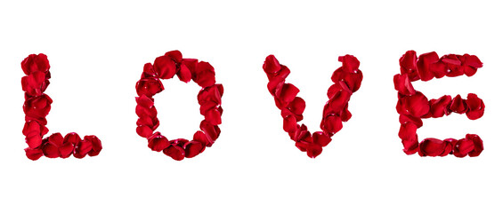 Word LOVE made with red roses flower petals isolated on transparent background. Creative idea for Valentines Day holiday or wedding.