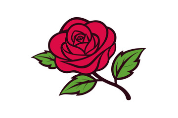 rose vector illustration