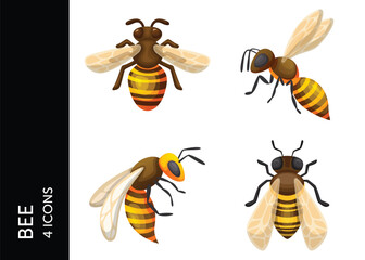 Bee icon pack. Set icon design
