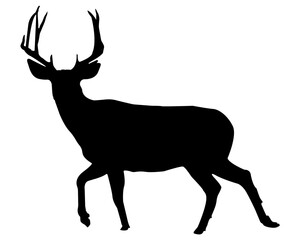 Deer Vector Design: Creating Intricate, Stunning Vector Illustrations of Deer that Capture Grace, Elegance, and Nature’s Beauty, Perfect for Logos, Branding, and Artistic Projects.