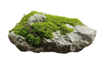 A rock covered in moss, on a white background, in a PNG format with a transparent or solid background