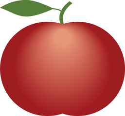 red apple vector art illustration
