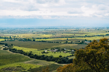Fototapeta premium View on the Alazani river valley and fields from the ancient Nekresi Monastery in Kakheti, Georgia. 