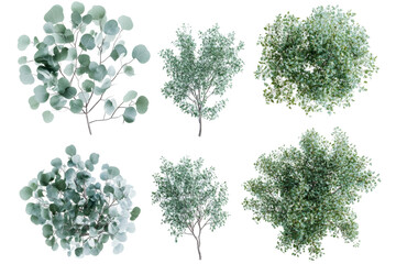 Elegant transparent png background of various green trees nature scene digital art artistic composition