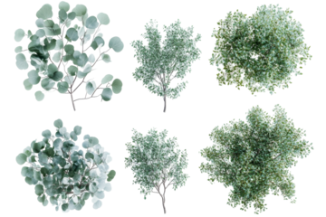 Elegant transparent png background of various green trees nature scene digital art artistic composition