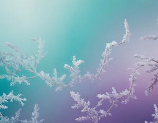Delicate frost-covered branches create a tranquil winter scene.