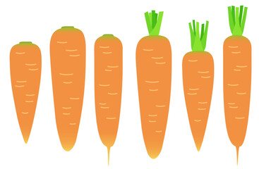 イラスト素材：ニンジン　いろいろな形のニンジンセット