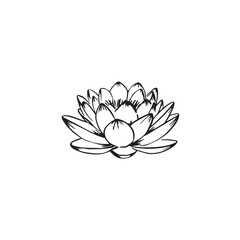 A lotus flower in black and white and shaded at the ends. Vector illustration.