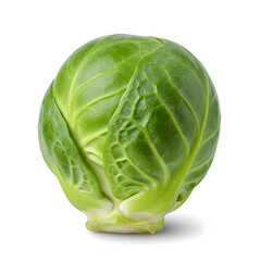 Obraz premium A single Brussels sprout, showcasing its green hue and layered leaves against a white background with a subtle shadow