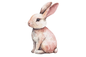 Charming watercolor rabbit art png transparent background cute animal illustration in serene environment