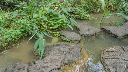 A pedestrian path made of stone sections with bizarre uneven outlines runs along the pond. Green grass around the perimeter of the reservoir. Reflection on the water. China. Heavenly Star Bridge Park