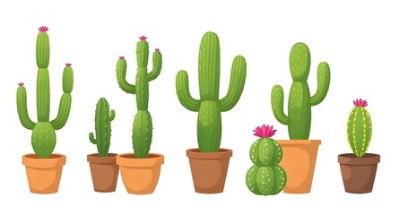 Obraz premium cactus illustration