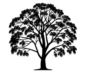 Silhouette of a tree with sprawling branches . Tree PNG