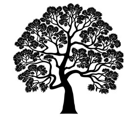 Silhouette of a tree with sprawling branches . Tree PNG