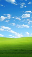Fototapeta premium Green glass field nature sky backgrounds.