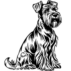 Miniature Schnauzer SVG, Silhouettes svg, Dog Peeking SVG for Cricut, Schnauzer clipart, png Cut file, iron on, vector, vinyl shirt design