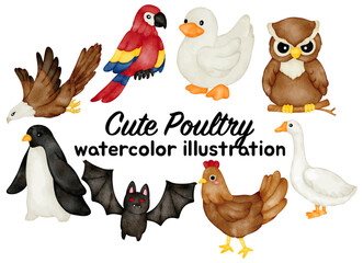 Watercolor Poultry and Bird Illustration Set - Hand-Painted, Cute, Realistic - Chicken, Duck, Goose, Owl, Eagle, Parrot, Penguin, Bat - Farm Animals, Wildlife, Vector Illustration