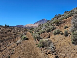 Nationalpark El Teide Teneriffa
