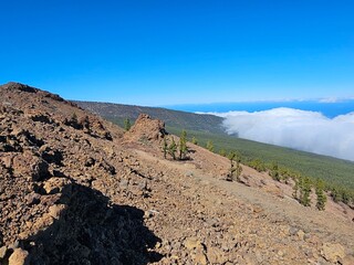 Nationalpark El Teide Teneriffa