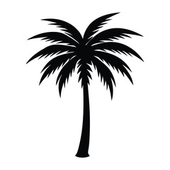 Obraz premium Palm Tree Silhouette vector Illustration on white background