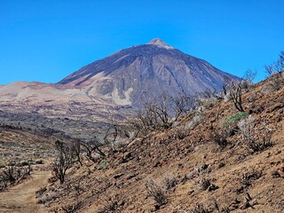 Nationalpark El Teide Teneriffa