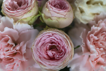 Floral background of delicate pink flowers..Selective focus.