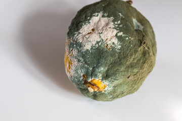 Mold on lemon with very pronounced symptoms. Penicillium infection on citrus.