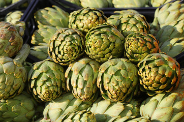 Fototapeta premium Background of ripe green artichokes for sale at the market freshly picked from the farm