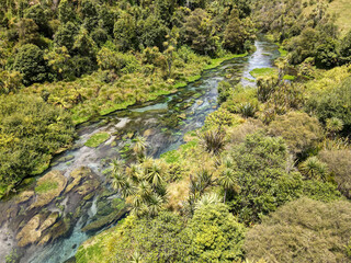 Drone view at Blue Spring river (Te Waihou Walkway) in New Zealand